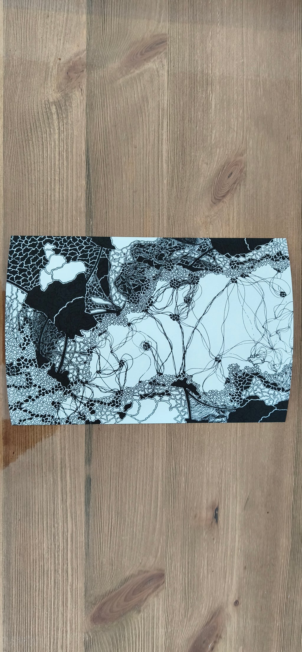 Brain Network (Fine Art Print)
