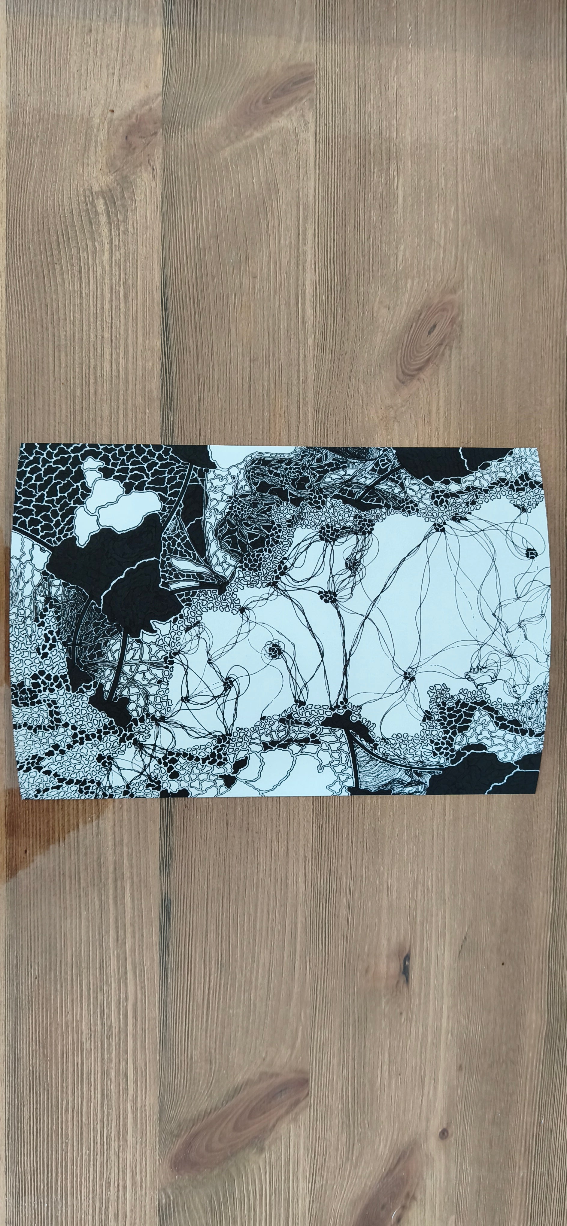 Brain Network (Fine Art Print)